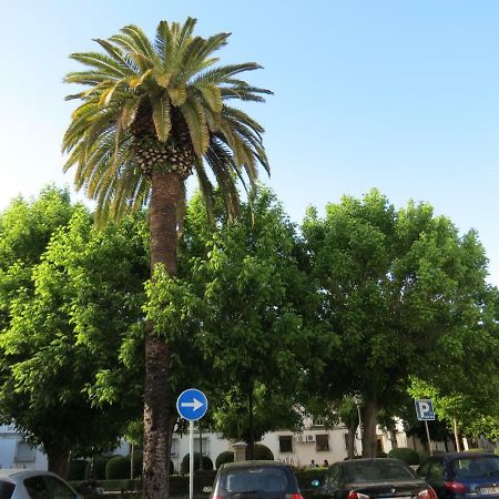 코르도바 Patios De San Pedro 아파트 외부 사진