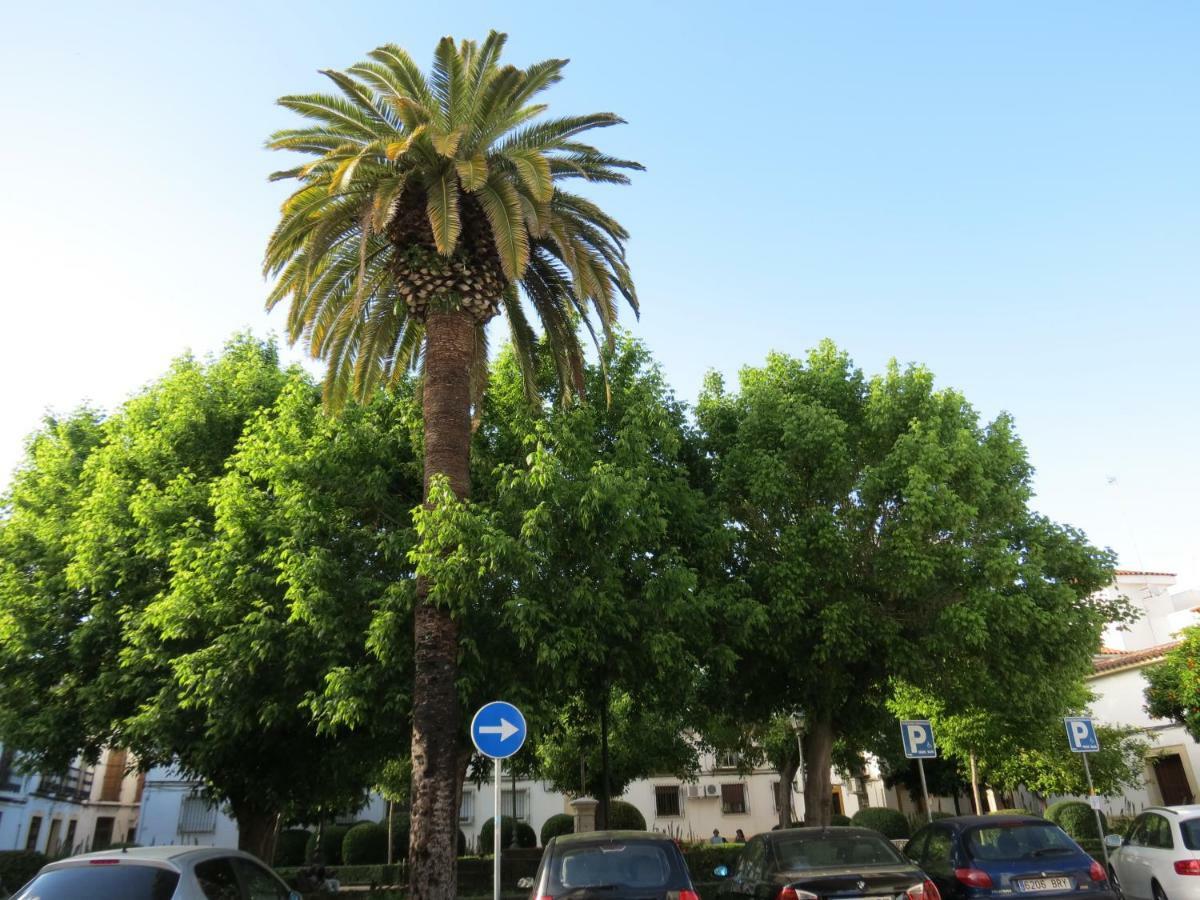 코르도바 Patios De San Pedro 아파트 외부 사진